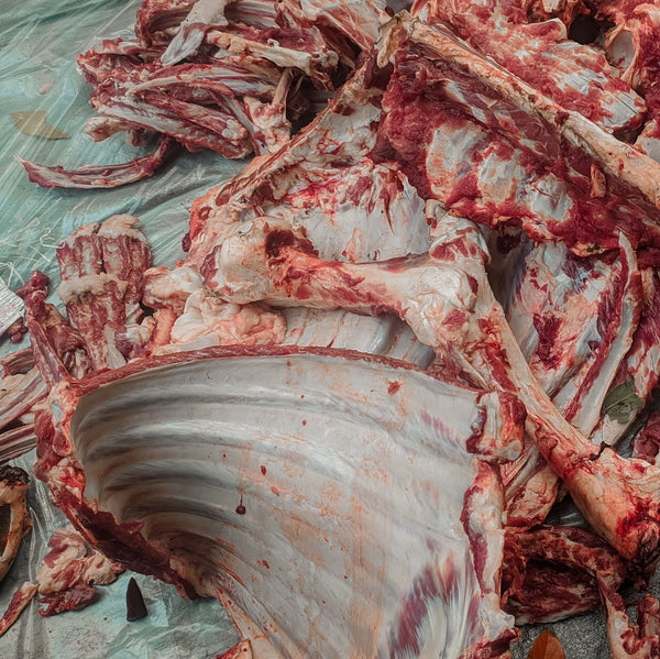 Wild venison bone pack (frozen)