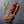 Grass fed beef fillet (chilled)