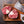 Quick Frozen Un-aged Grass fed beef osso buco (shin on the bone)
